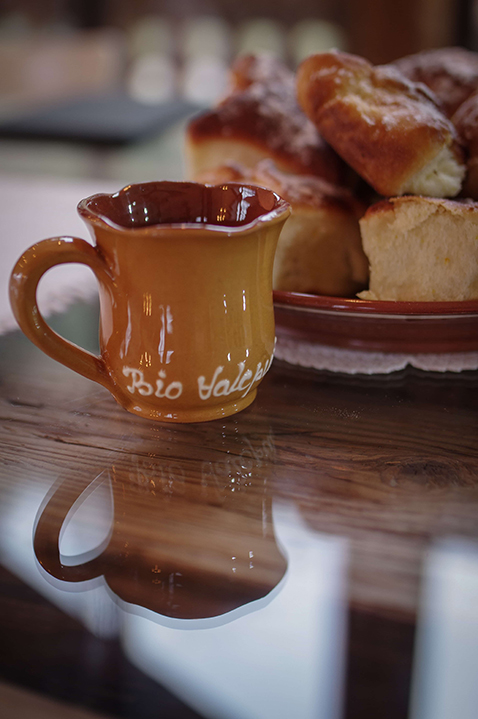 Ceramic vase with Bio Valeputna inscription